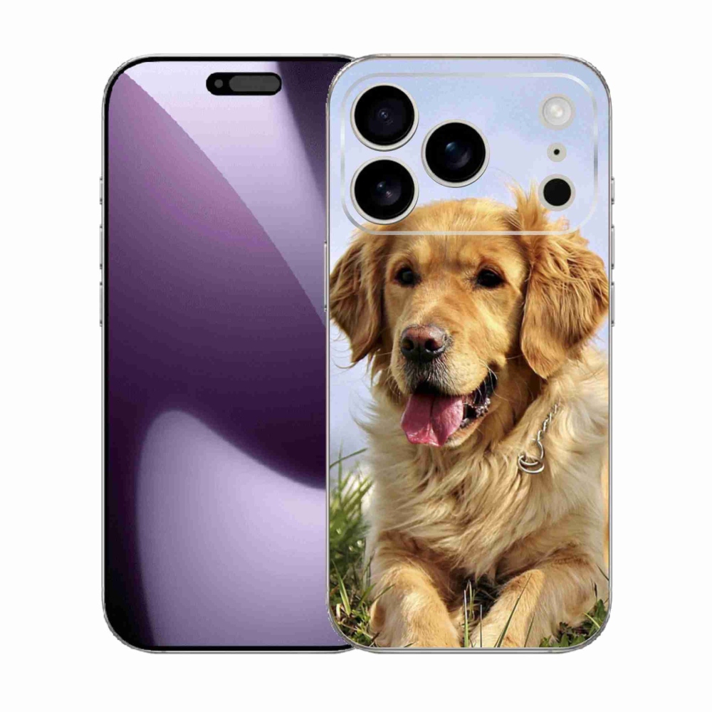 Zselés borítás mmCase iPhone 17 Pro készülékhez - arany retriever