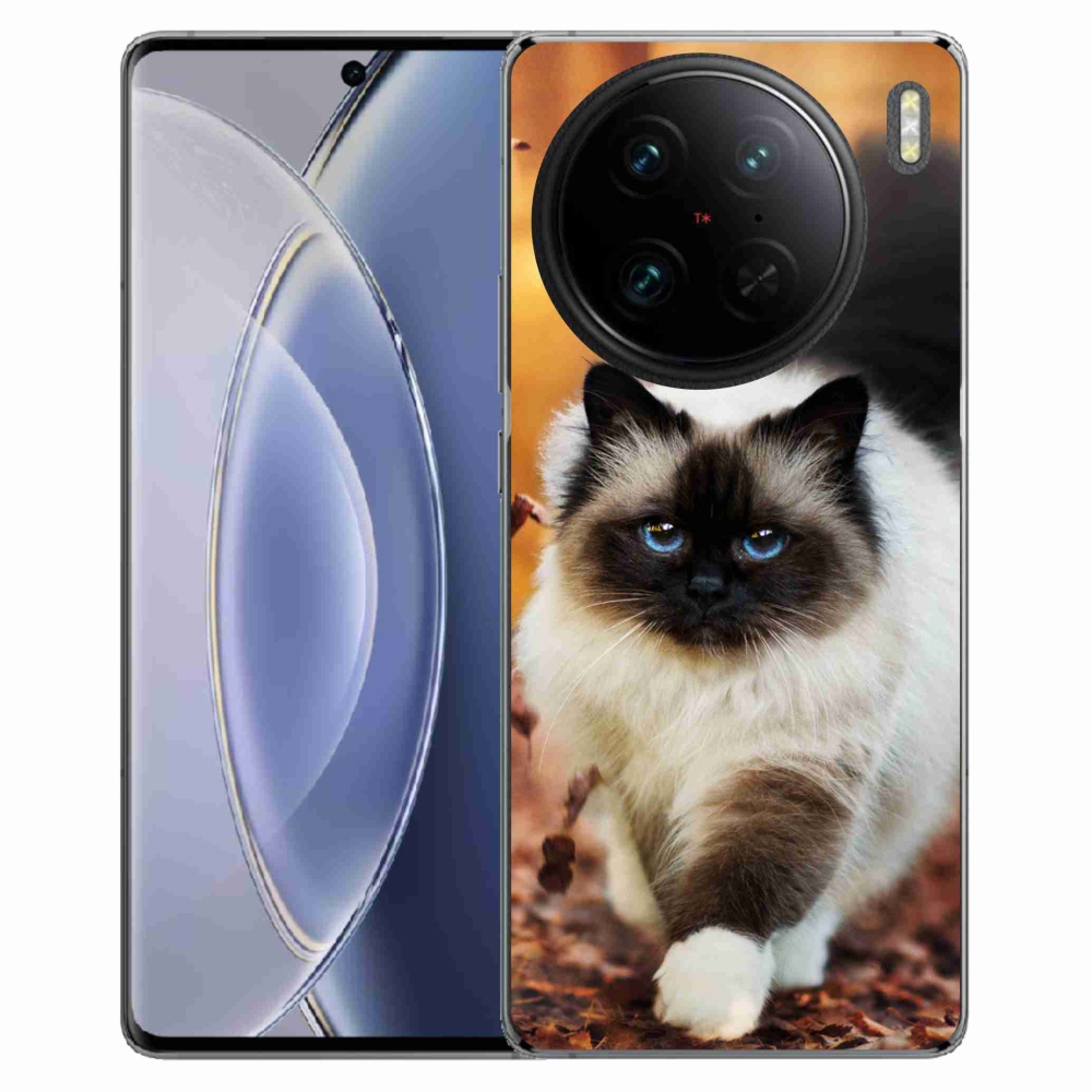 Gél tok mmCase a Vivo X90 Pro készülékhez - macska