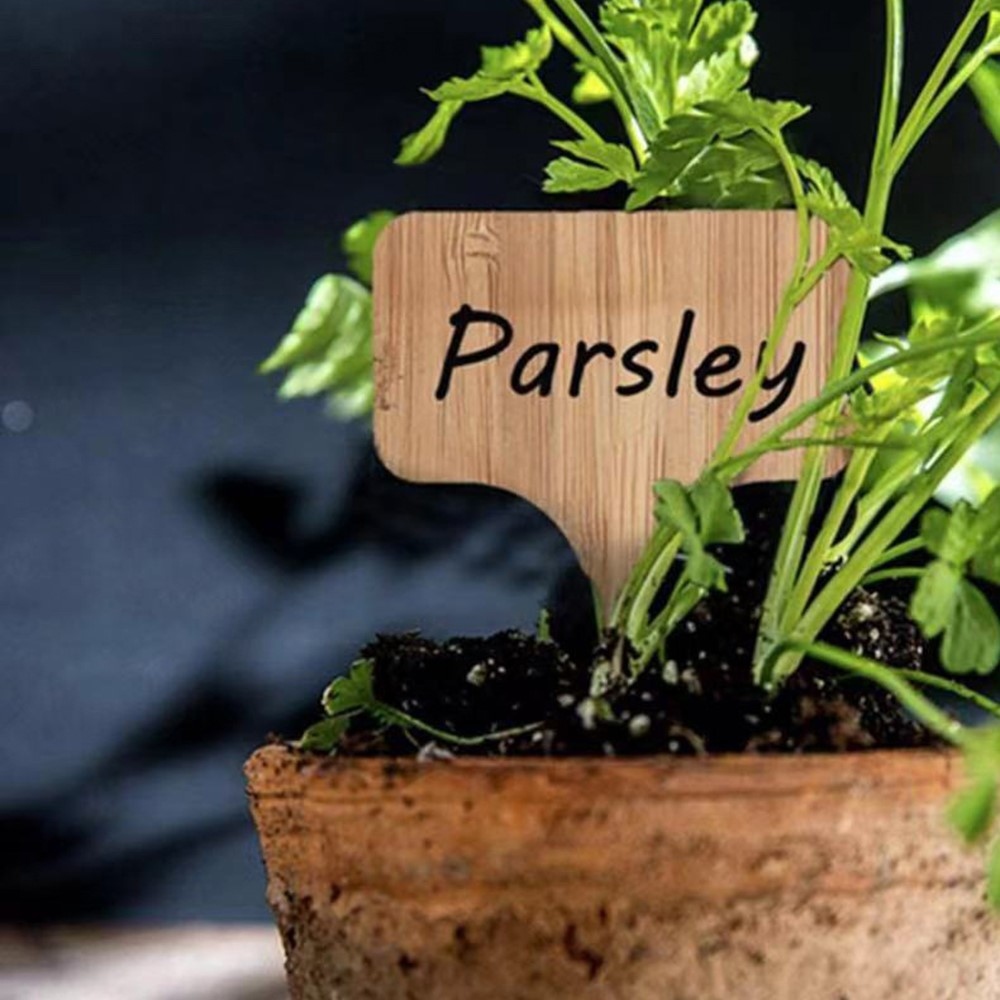 10 db-os fa névcímkekészlet kerti növényekhez