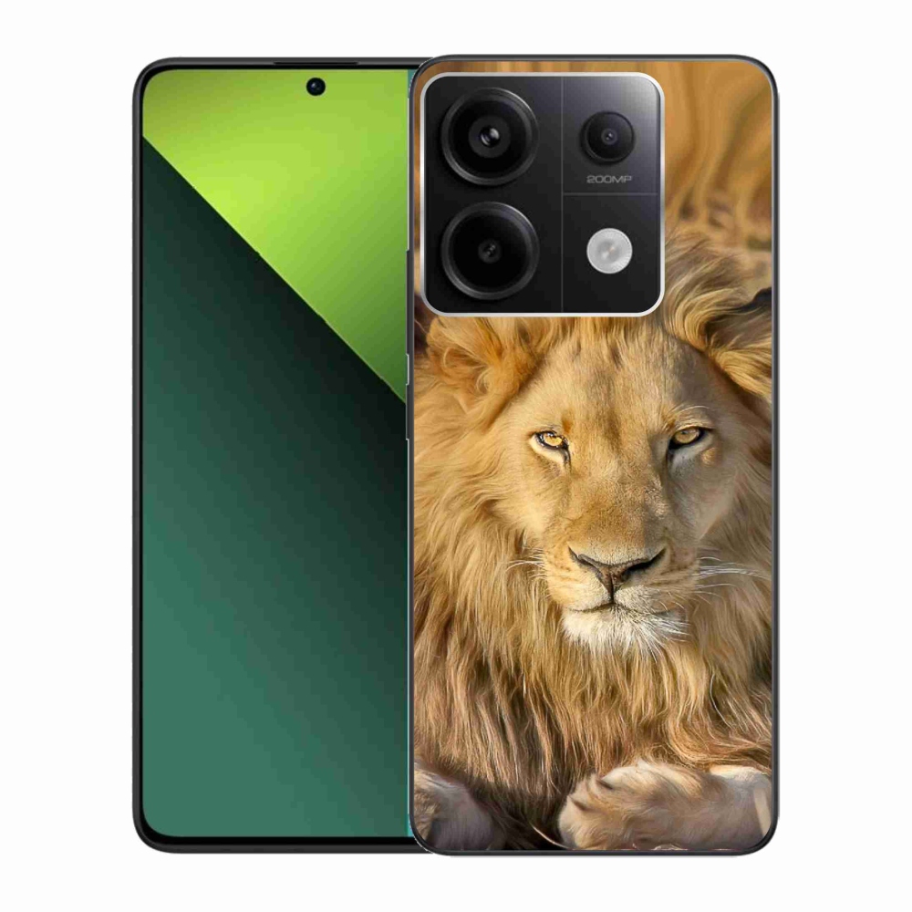 Gél borítás mmCase a Xiaomi Redmi Note 13 Pro 5G/Poco X6 5G - Lion 2 számára