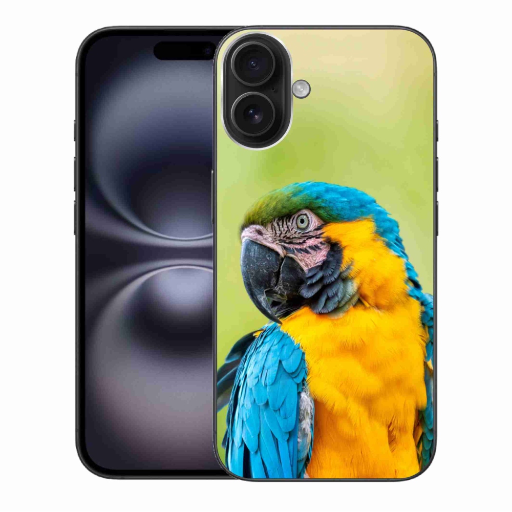 Gél tok mmCase iPhone 16 Plus készülékhez - papagáj ara 2