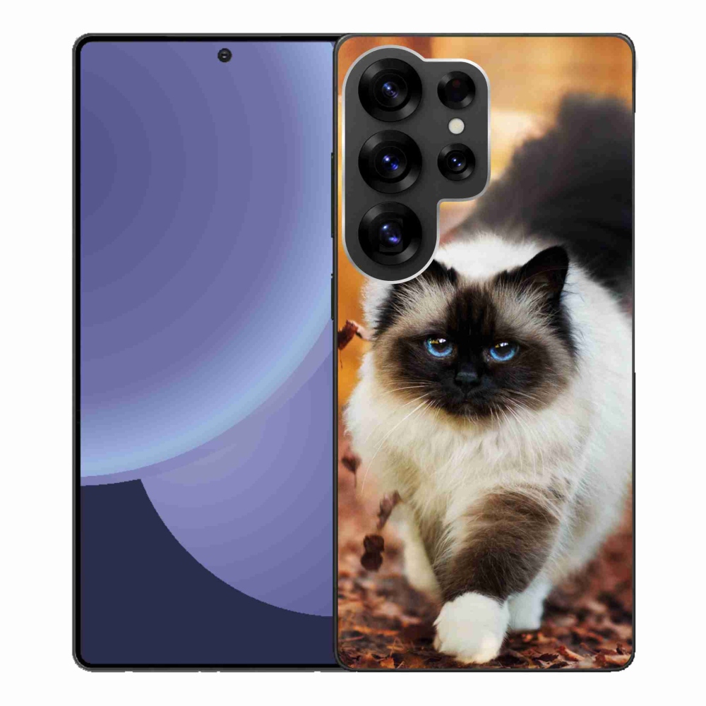 Zselés borítás mmCase Samsung Galaxy S25 Ultra készülékhez - macska