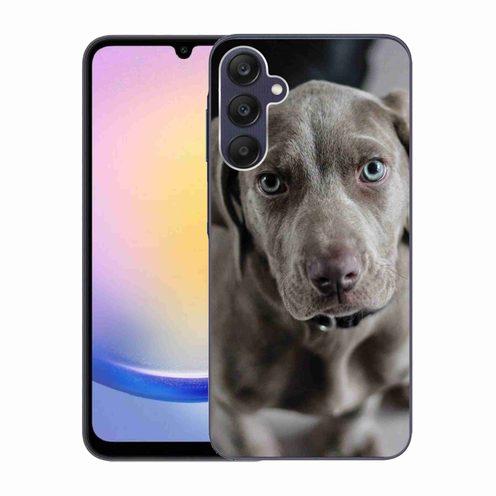 Gél tok mmCase a Samsung Galaxy A25 5G készülékhez - Weimaraner