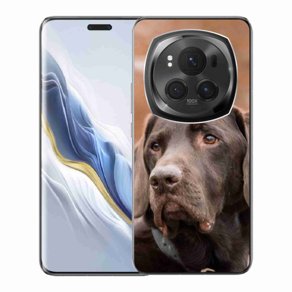Gél tok mmCase a Honor Magic 6 Pro 5G készülékhez - barna labrador
