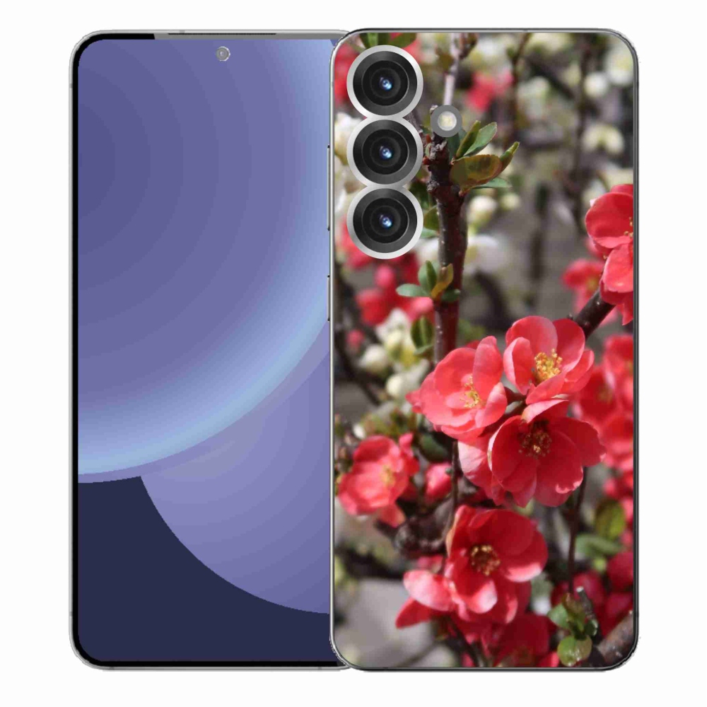 Gél védőhuzat mmCase Samsung Galaxy S25+ - piros virágok