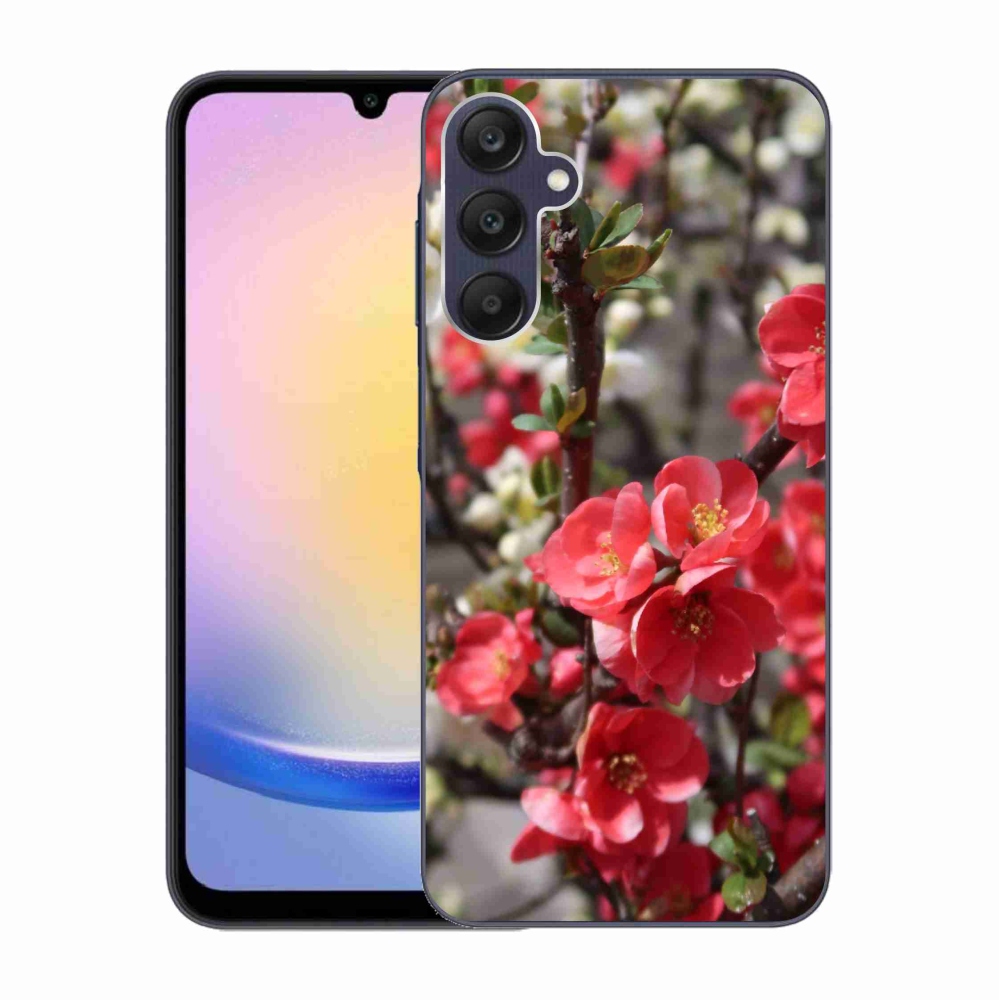 Gél védőhuzat mmCase Samsung Galaxy A25 5G - piros virágok
