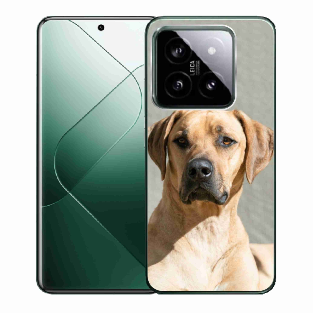 Gél borítás mmCase a Xiaomi 14-hez - ridgeback