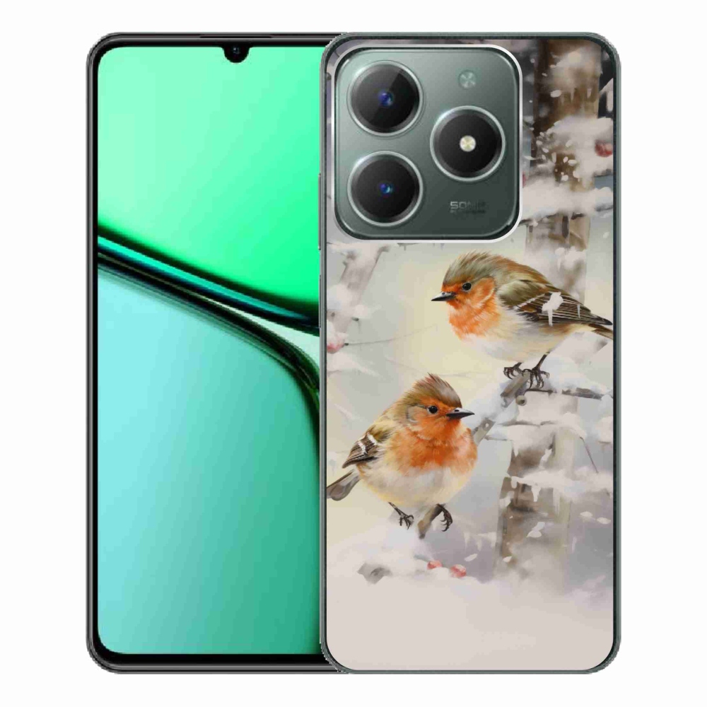 Gél borítás mmCase a Realme C61 készülékhez - madarak télen