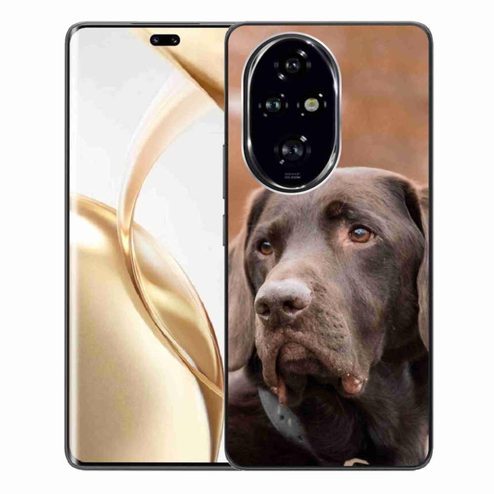 Gél tok mmCase a Honor 200 Pro 5G készülékhez - barna labrador színű