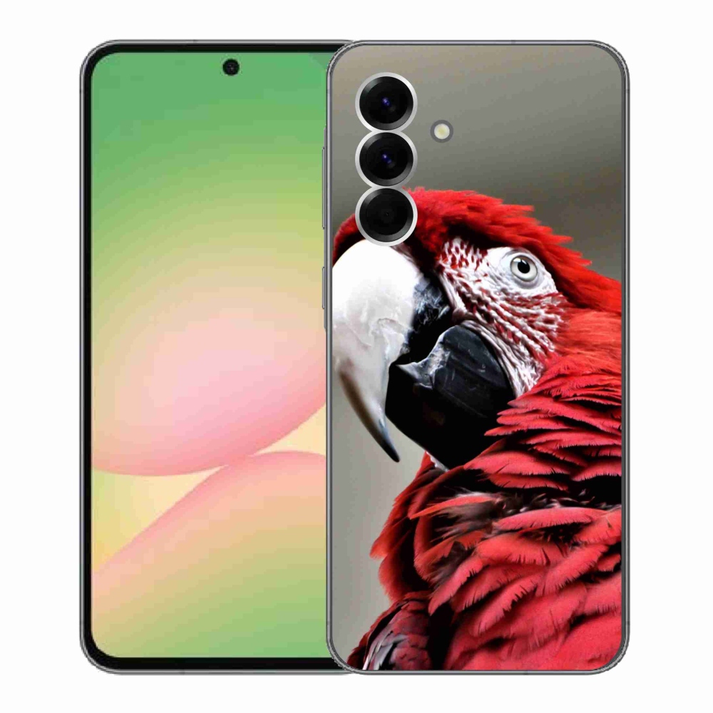Zselés borítás mmCase Samsung Galaxy A56 5G - papagáj ara piros