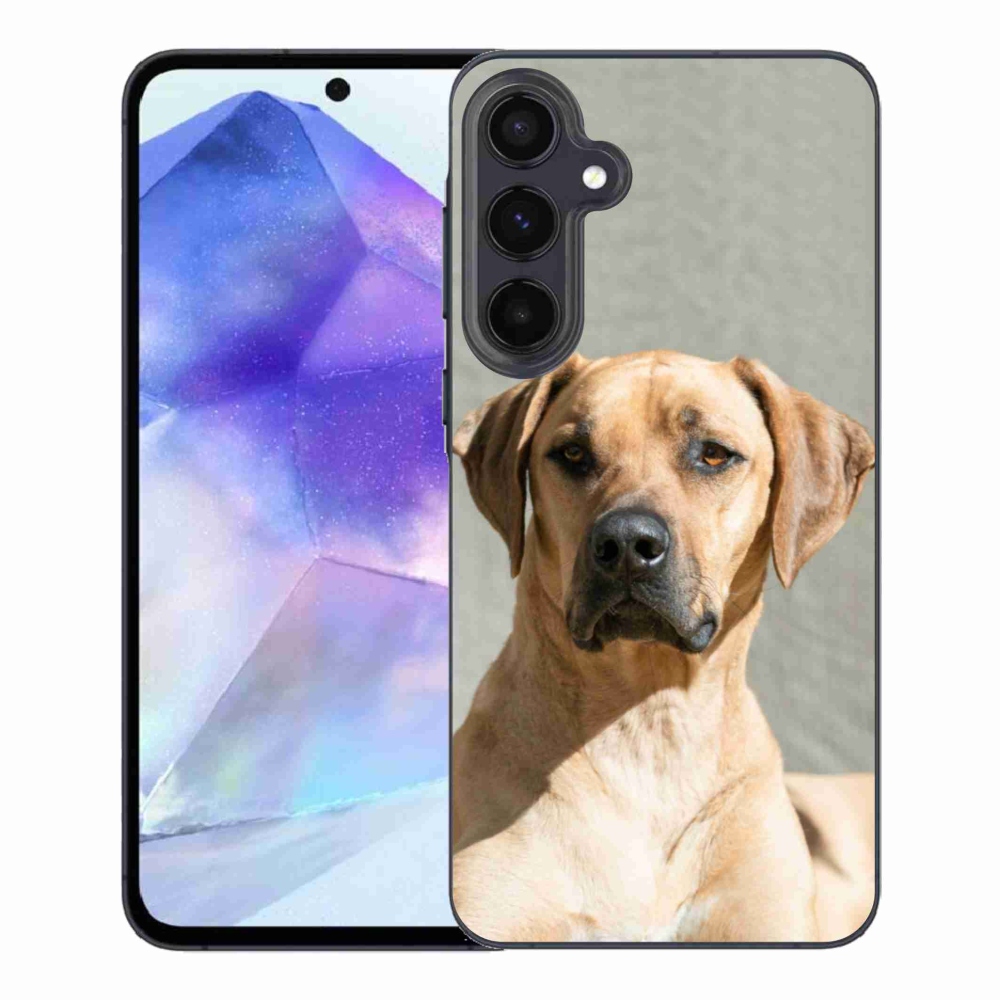 Gél védőhuzat mmCase Samsung Galaxy A55 5G - ridgeback