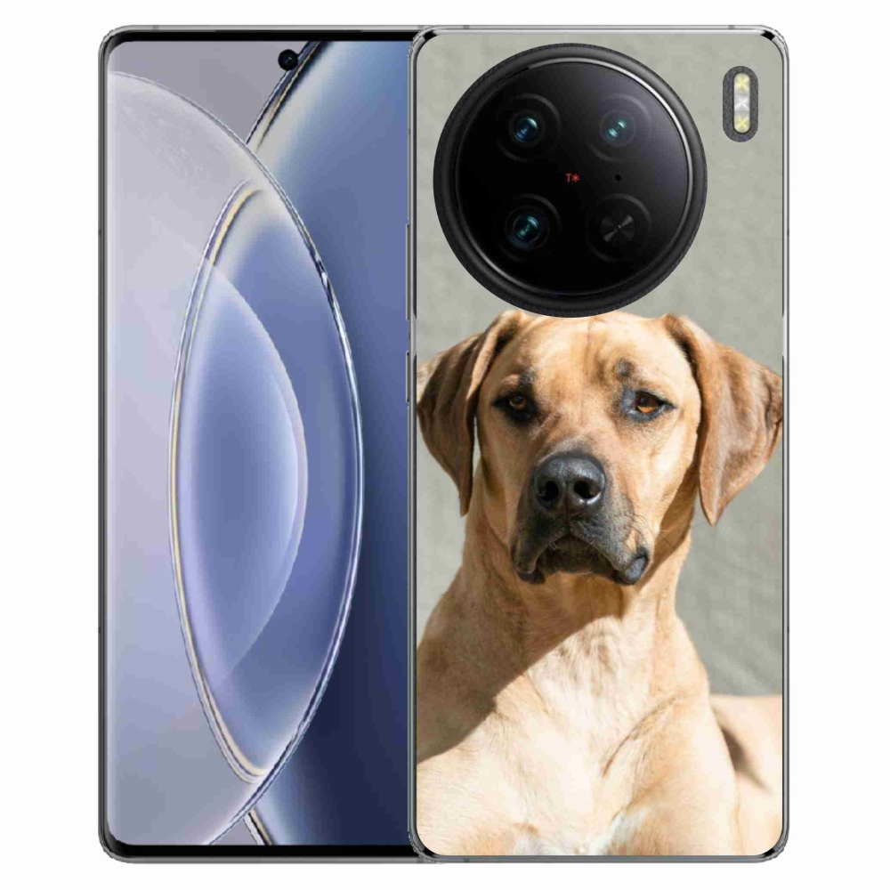 Gél borítás mmCase a Vivo X90 Pro készülékhez - ridgeback