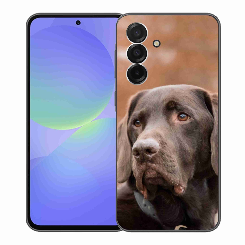Gél védőhuzat mmCase Samsung Galaxy A36 5G - barna labrador