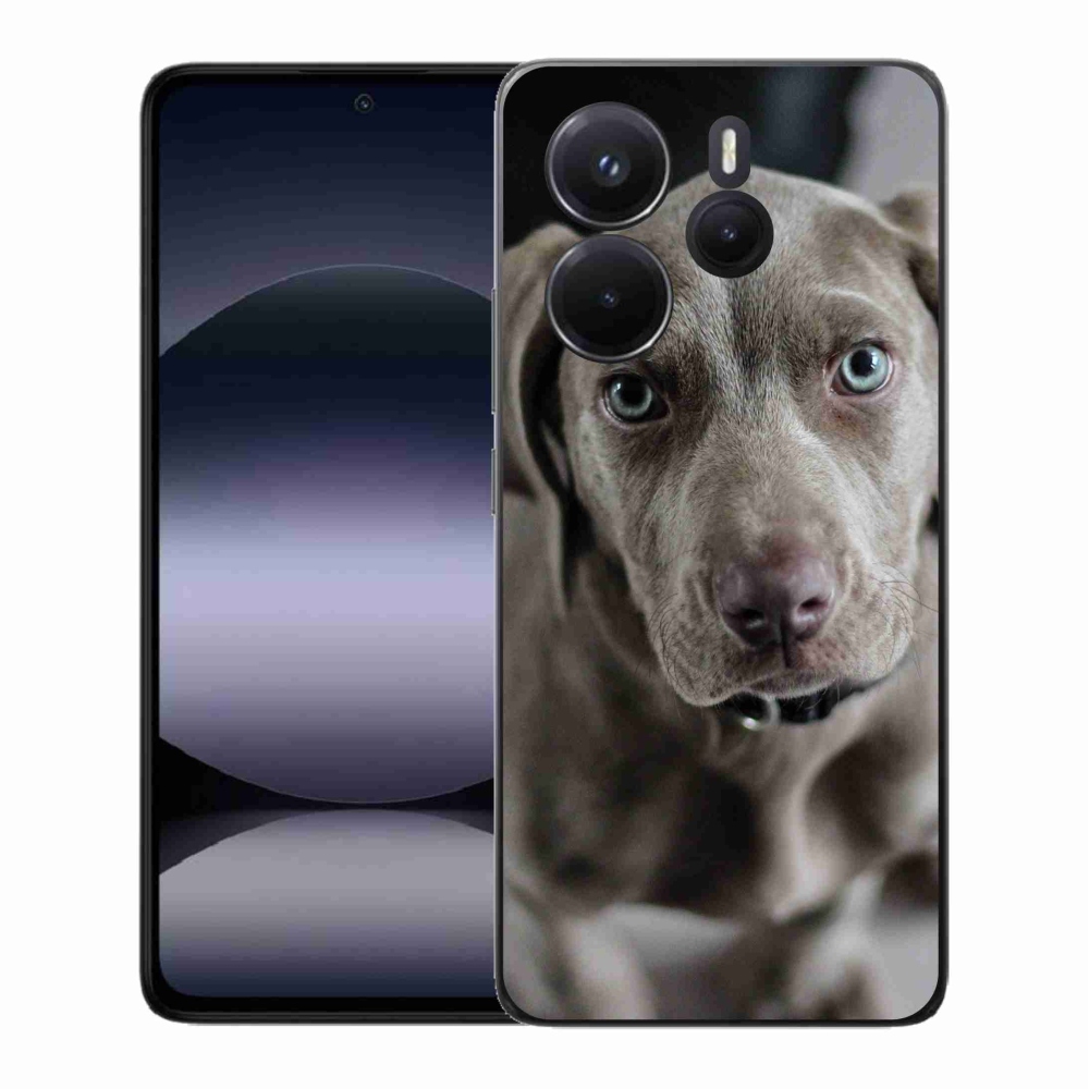 Gél borítás mmCase a Xiaomi Redmi Note 14-hez - arany retriever