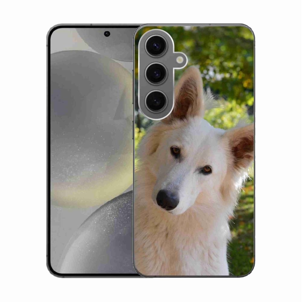 Gél védőhuzat mmCase Samsung Galaxy S24 - fehér Svájci juhász 1