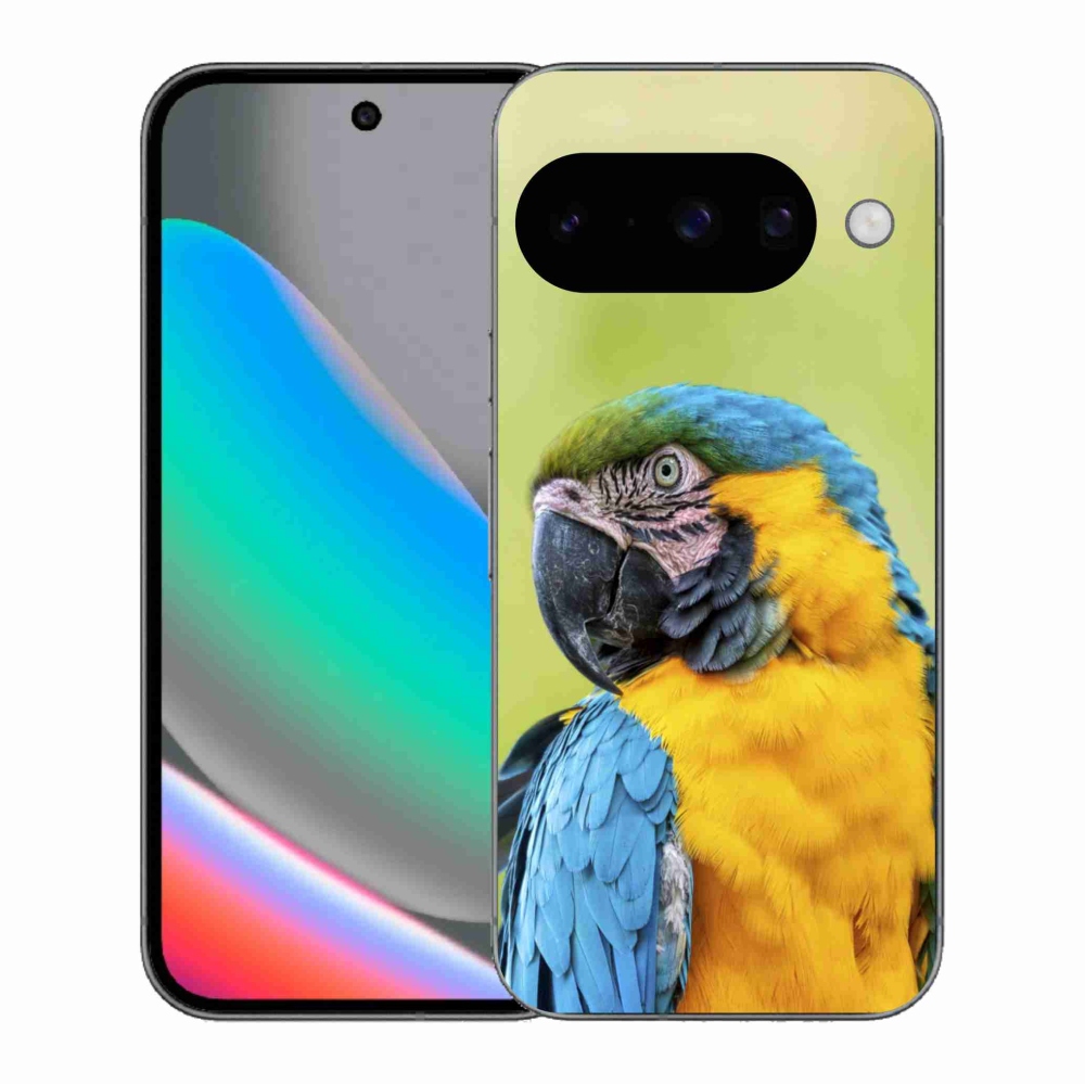Gél borítás mmCase a Google Pixel 10 készülékhez - papagáj ara 2
