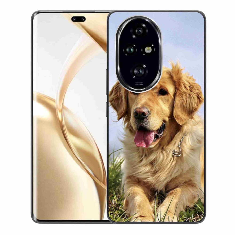 Gél tok mmCase a Honor 200 Pro 5G számára - arany retriever