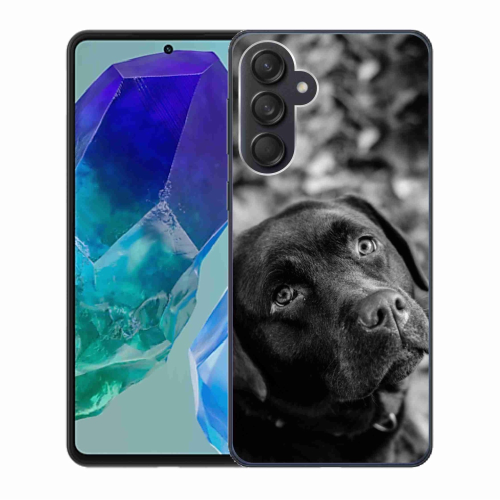 Gél tok mmCase a Samsung Galaxy M55 5G készülékhez - labrador színű