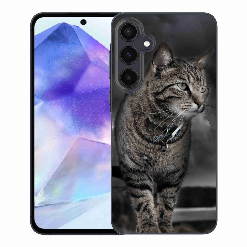 Zselés borítás mmCase Samsung Galaxy A55 5G - macska