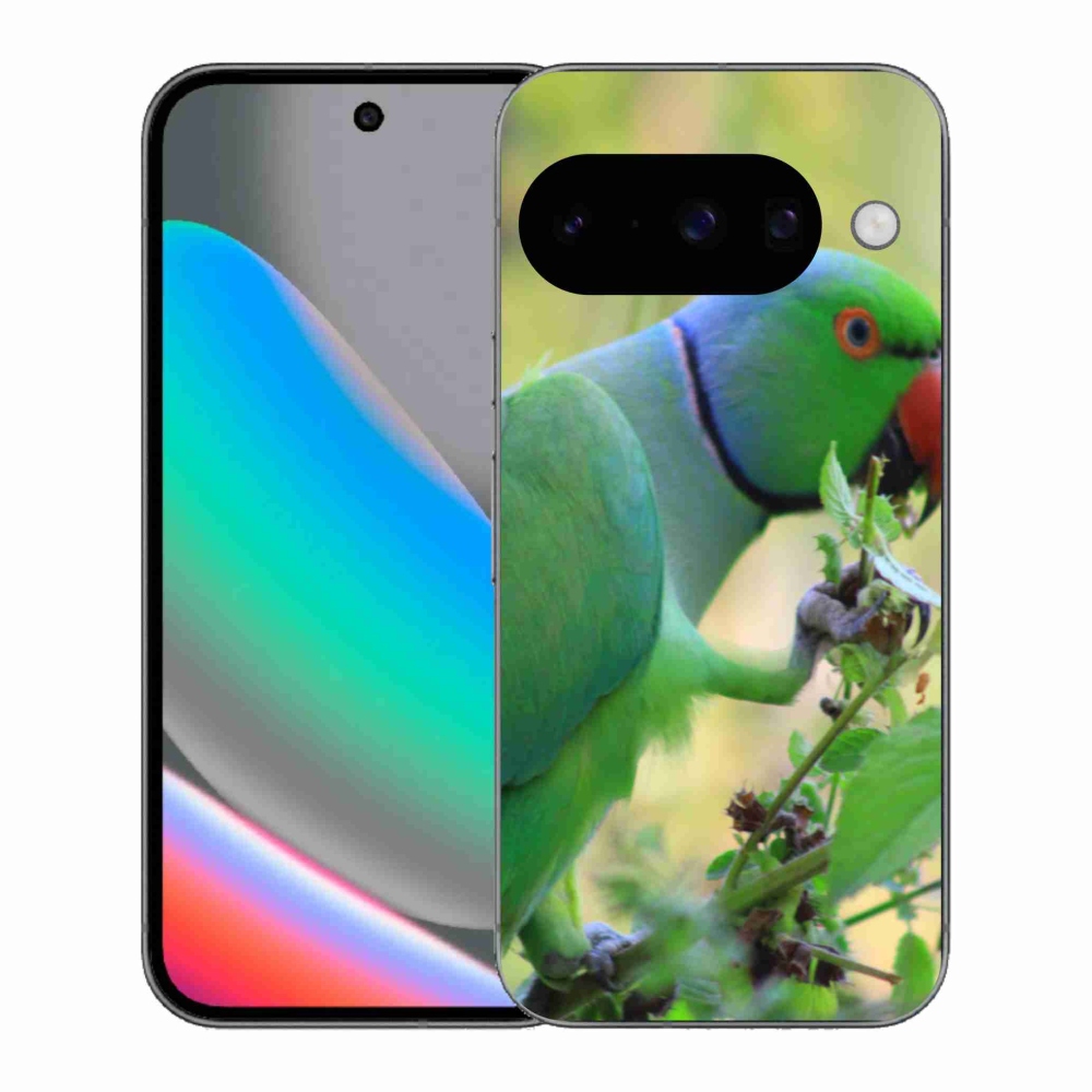 Gél borítás mmCase a Google Pixel 10 készülékhez - papagáj alexandr