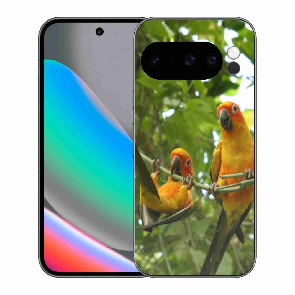 Gél borítás mmCase a Google Pixel 10 Pro számára - papagájok aratingy