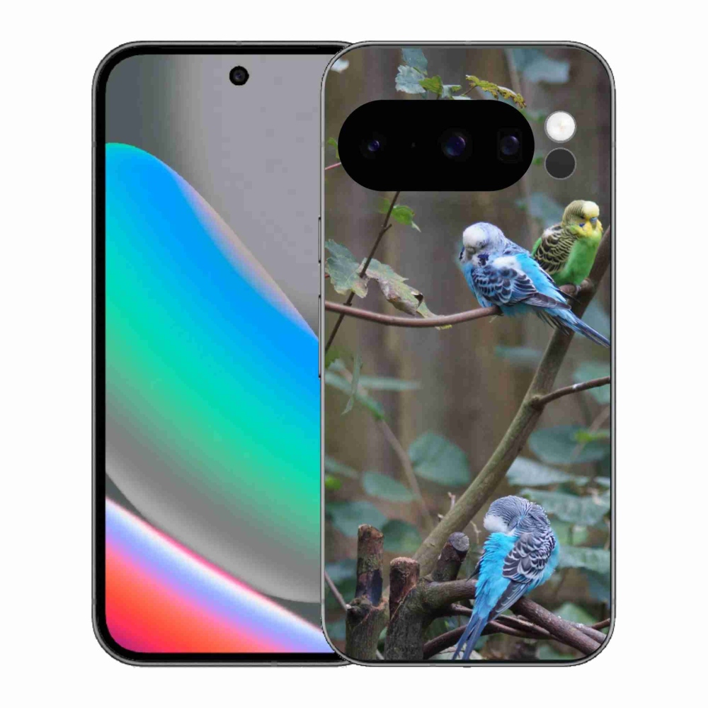 mmCase gél tok a Google Pixel 10 Pro-hoz – papagájok az ágon