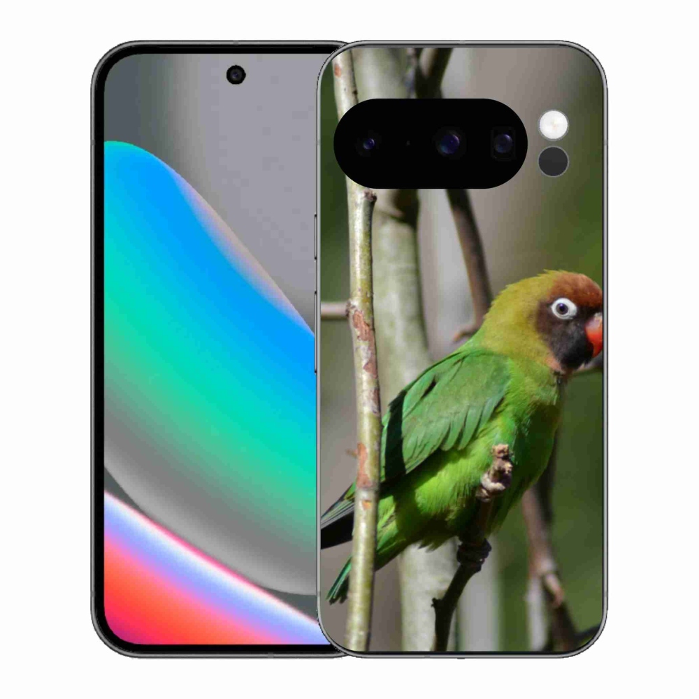 Gél borítás mmCase a Google Pixel 10 Pro számára - papagáj agapornis