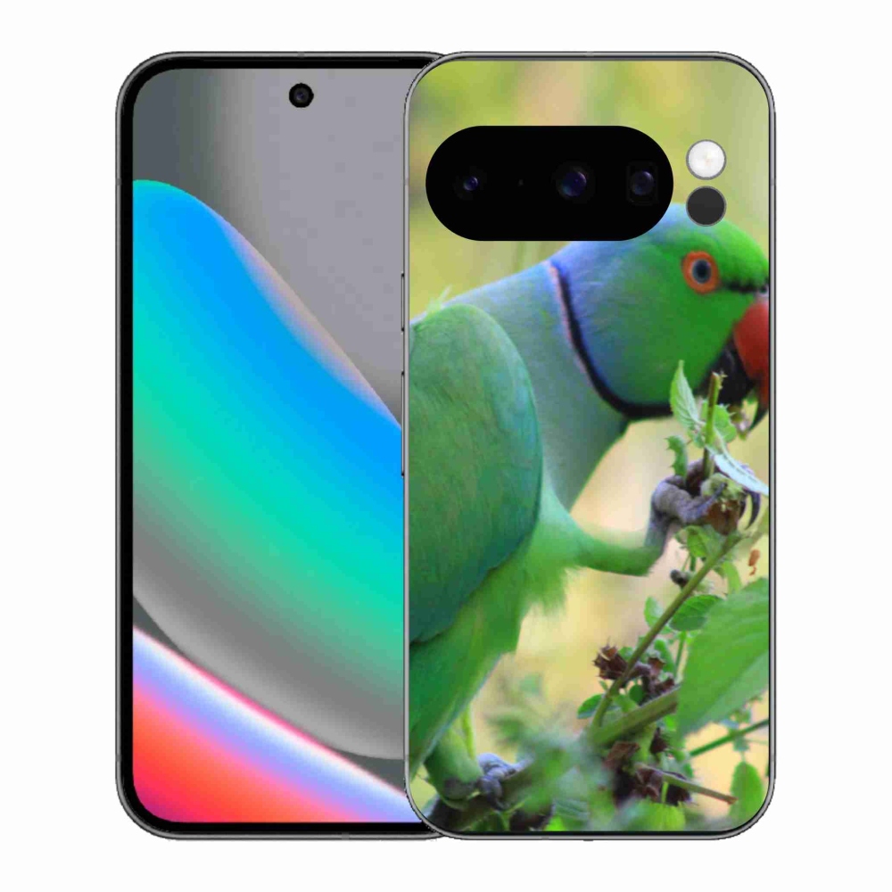 Zselés borítás mmCase a Google Pixel 10 Pro számára - papagáj alexandr