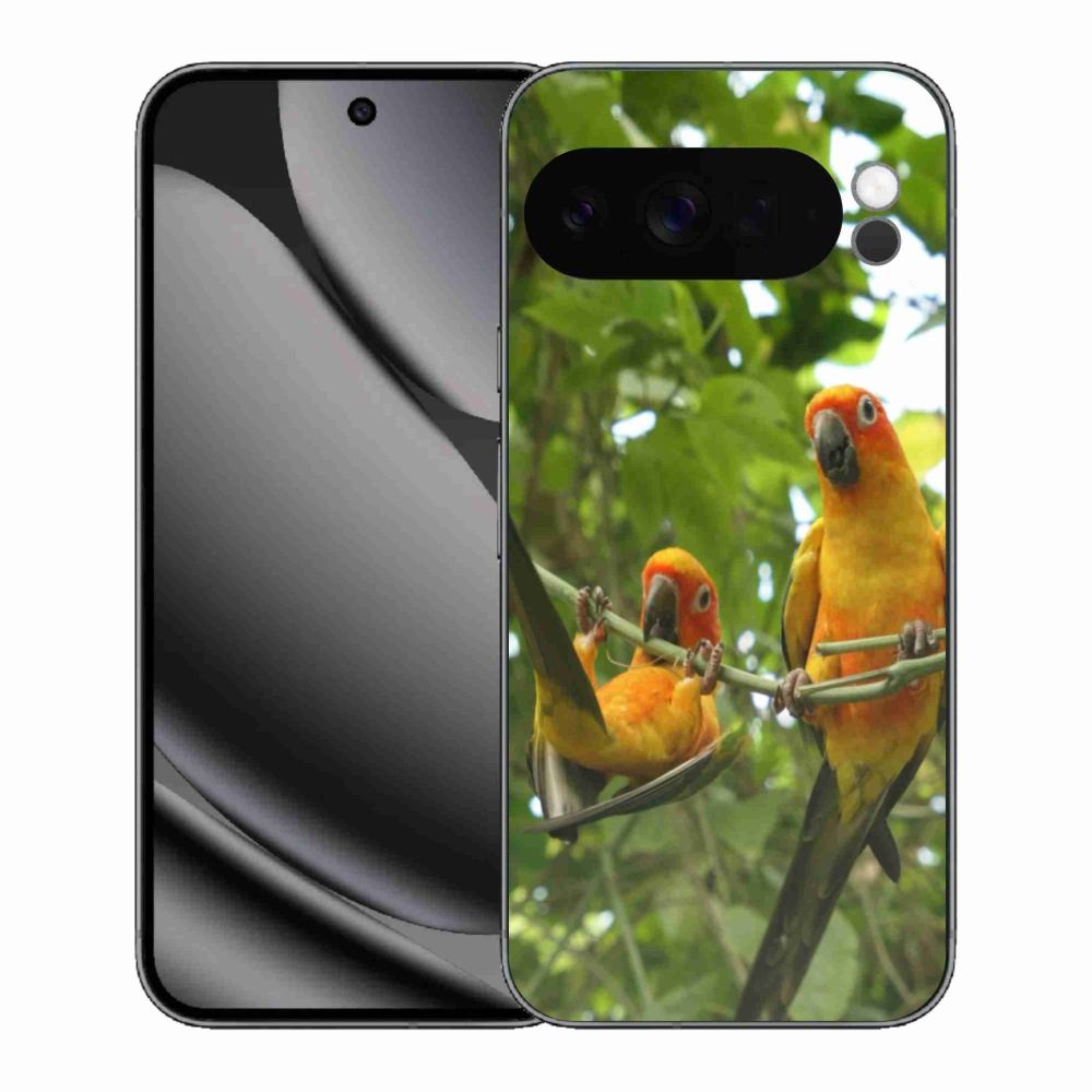 Gél borítás mmCase a Google Pixel 10 Pro XL-hez - papagájok aratingy