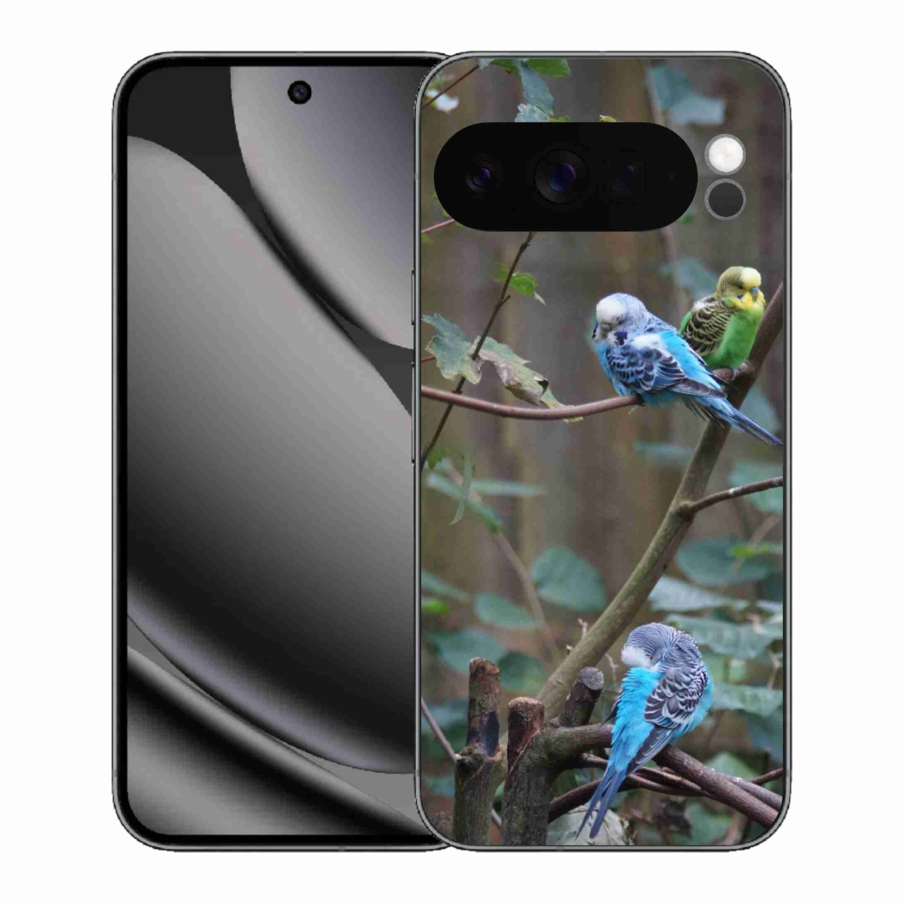 mmCase gél tok a Google Pixel 10 Pro XL-hez – papagájok az ágon
