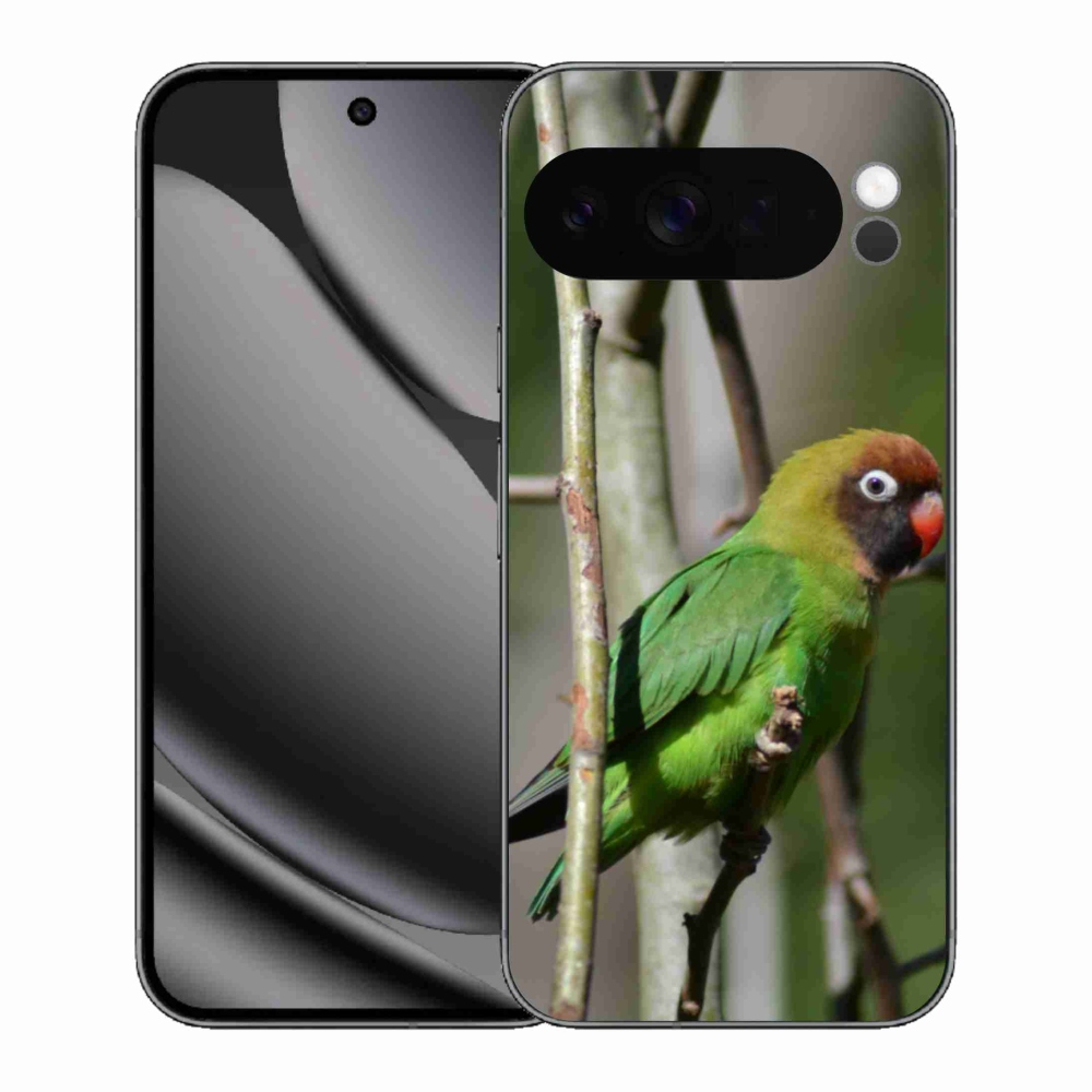 Gél borítás mmCase a Google Pixel 10 Pro XL-hez - papagáj agapornis