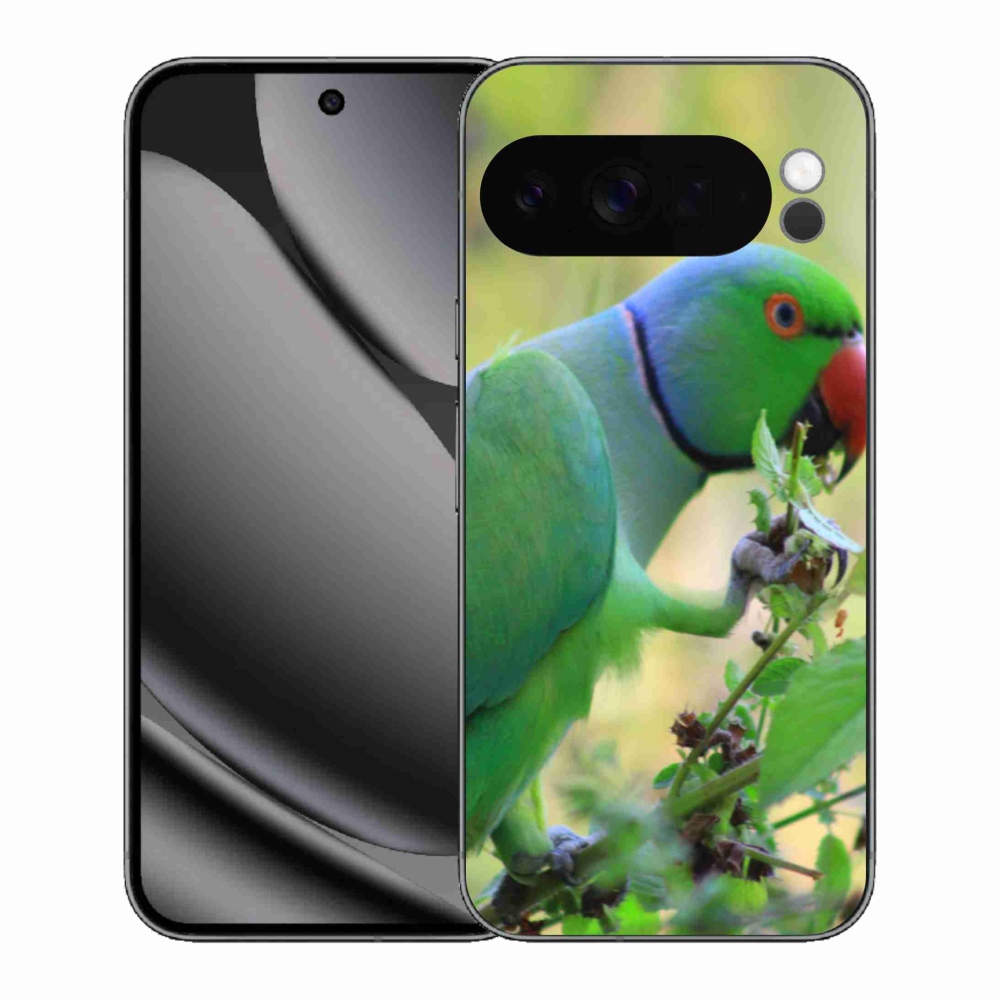 Zselés borítás mmCase a Google Pixel 10 Pro XL-hez - papagáj alexandr