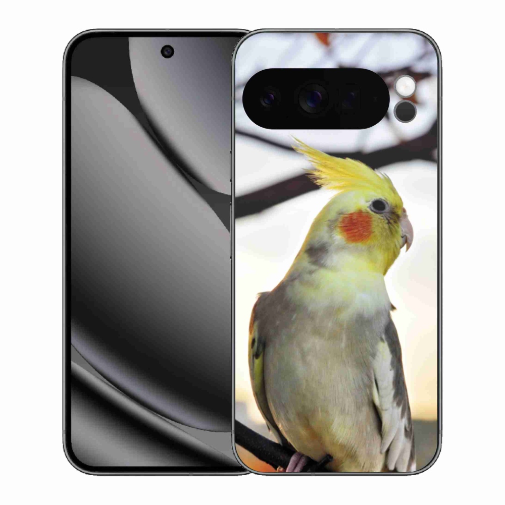 Zselés borítás mmCase a Google Pixel 10 Pro XL-hez - papagáj korela