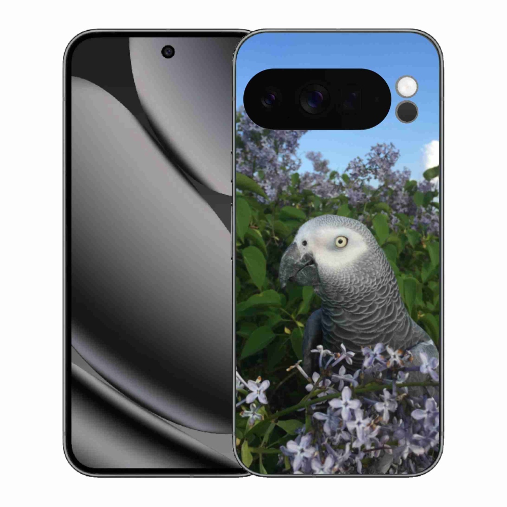 Zselés borítás mmCase a Google Pixel 10 Pro XL-hez - papagáj jacco