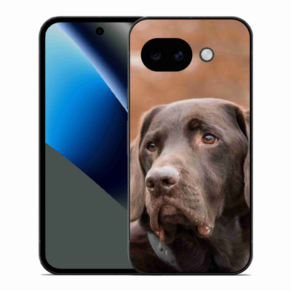 Zselés borítás mmCase a Google Pixel 10a készülékhez - barna labrador