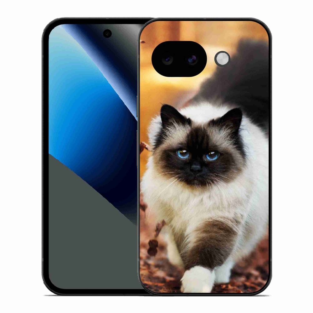 Zselés borítás mmCase a Google Pixel 10a készülékhez - macska