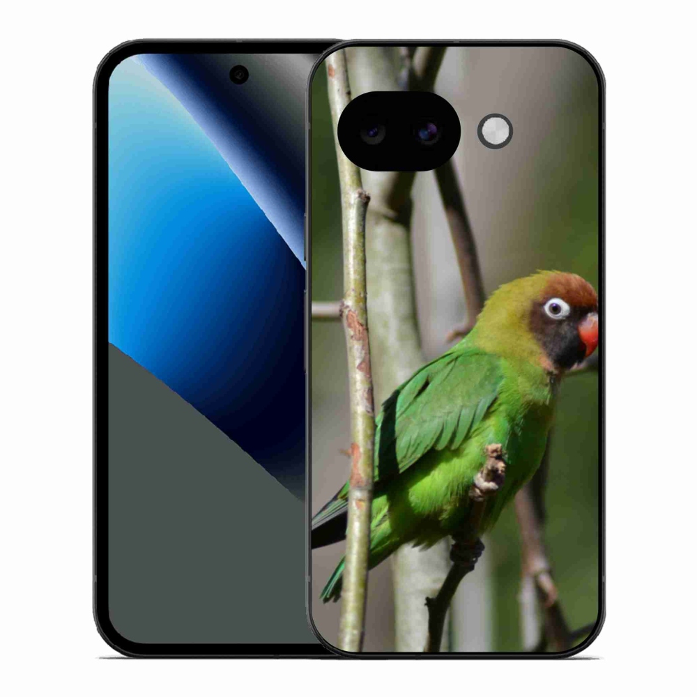 Gél borítás mmCase a Google Pixel 10a számára - papagáj agapornis