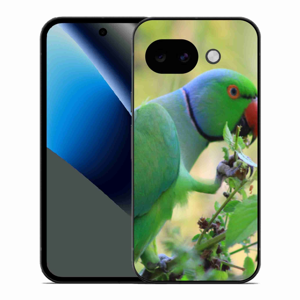 Gél borítás mmCase a Google Pixel 10a készülékhez - papagáj alexandr