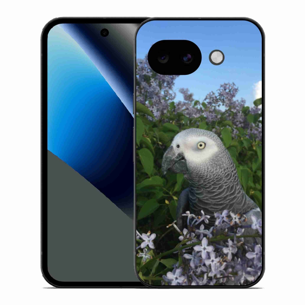 Gél borítás mmCase a Google Pixel 10a számára - papagáj jacko