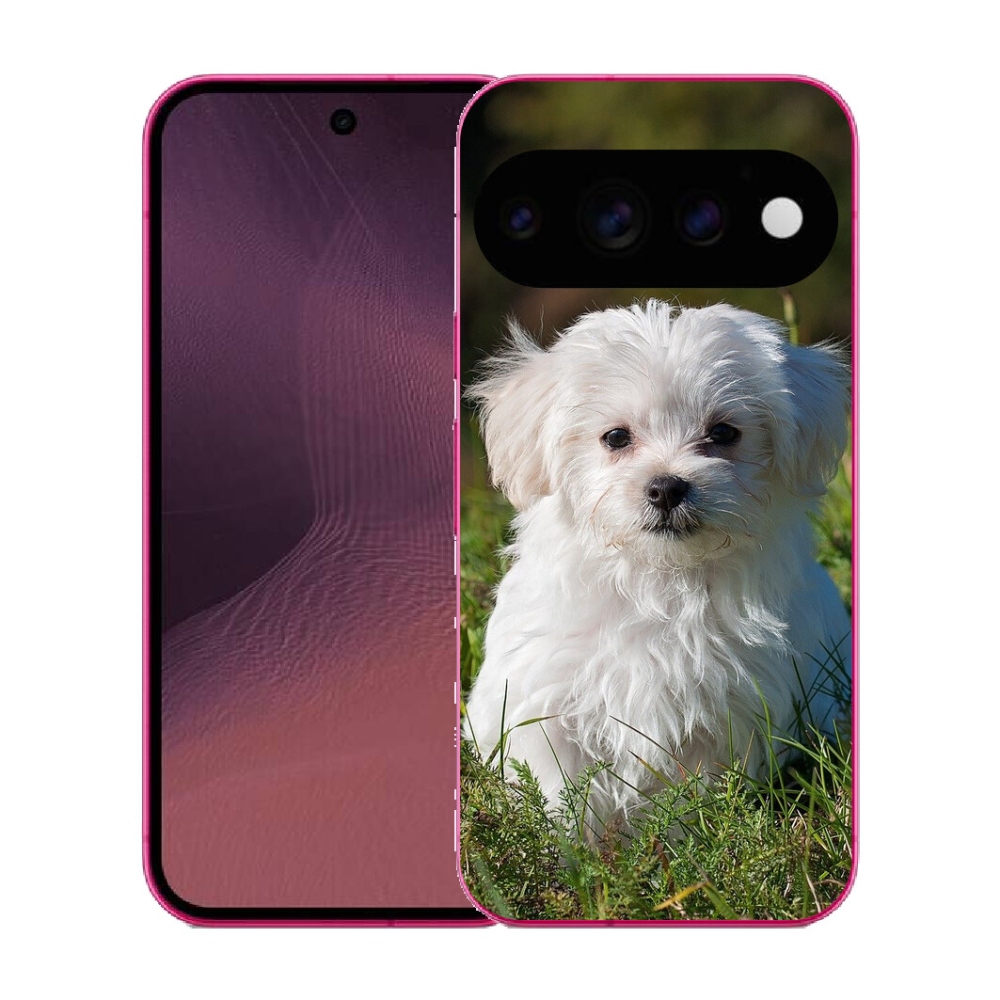 mmCase gél tok a Google Pixel 11-hez – bichon frisé