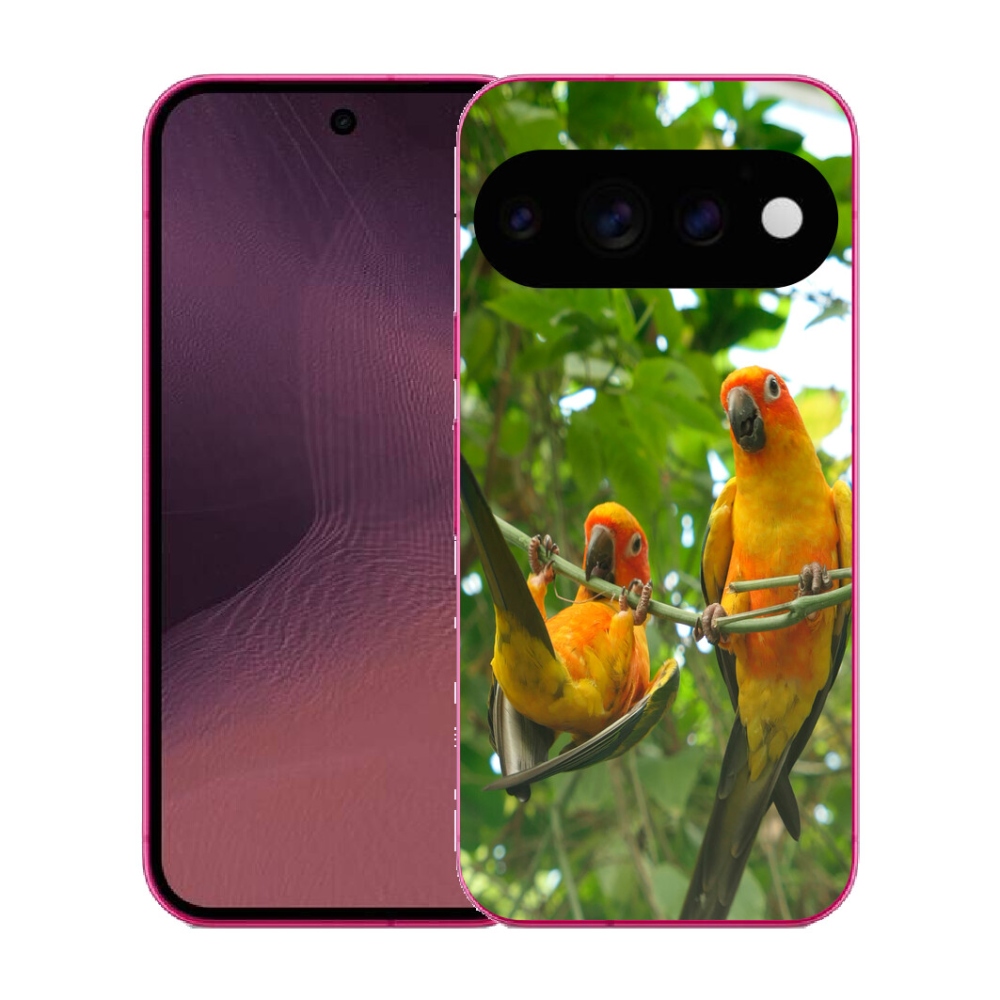 mmCase gél tok a Google Pixel 11-hez – aratinga papagájok