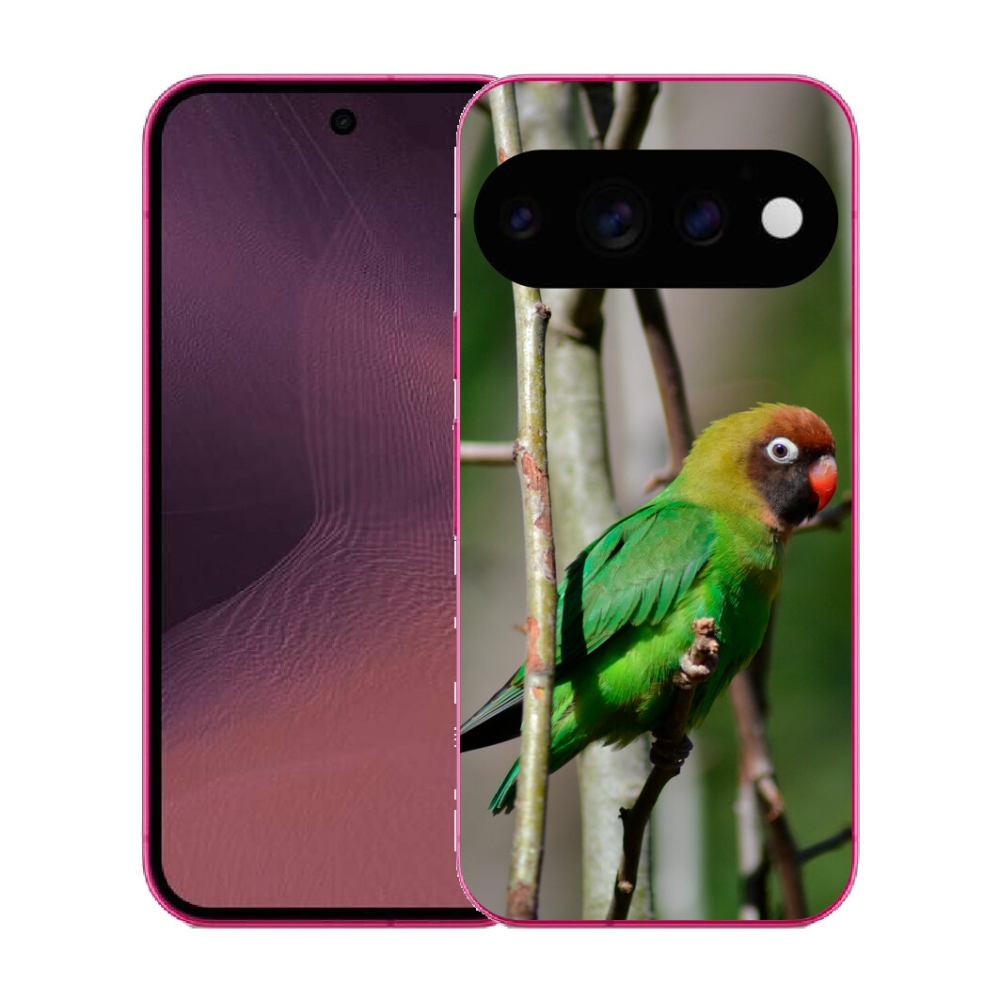 mmCase gél tok a Google Pixel 11-hez – agapornis papagáj