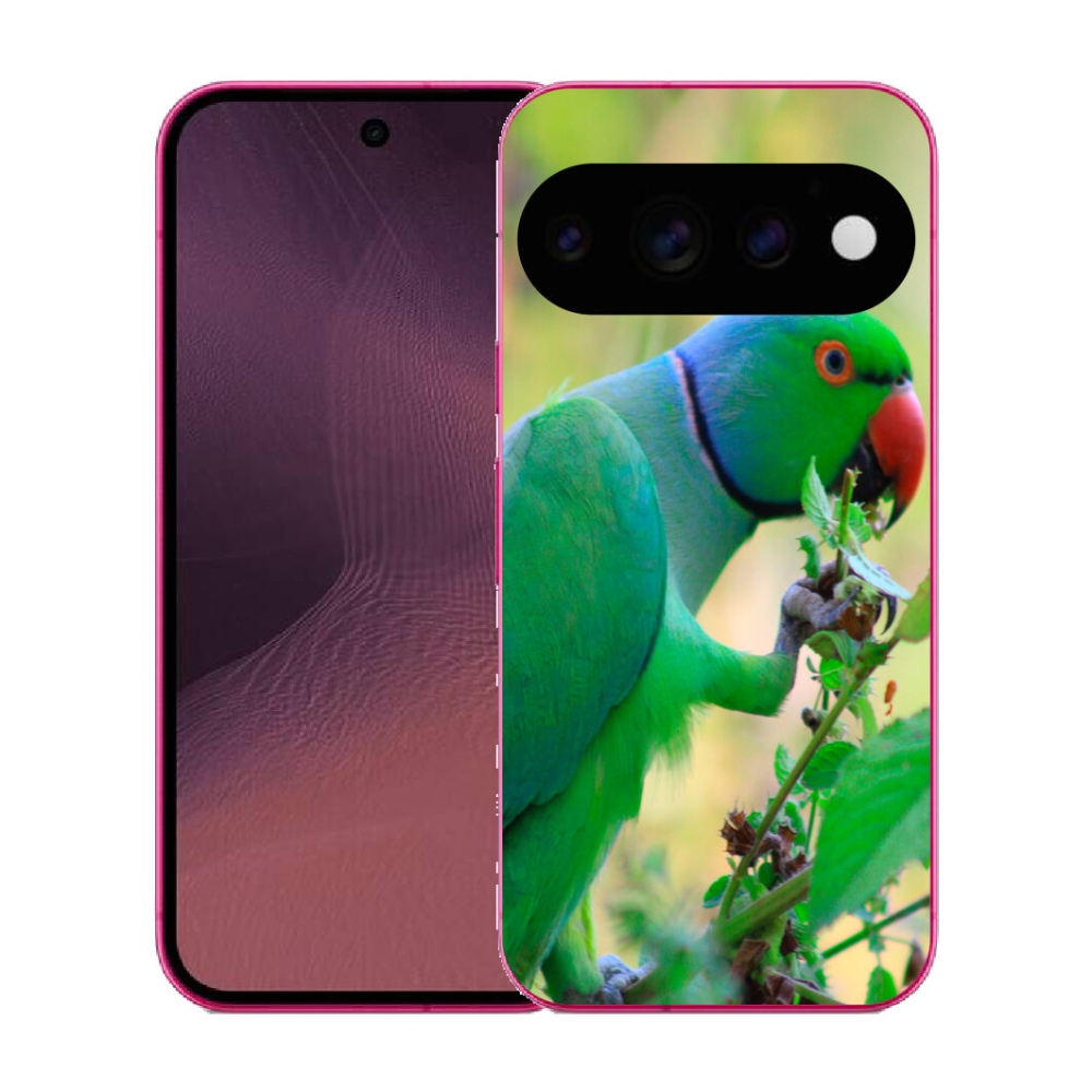 mmCase gél tok a Google Pixel 11-hez – alexandri papagáj