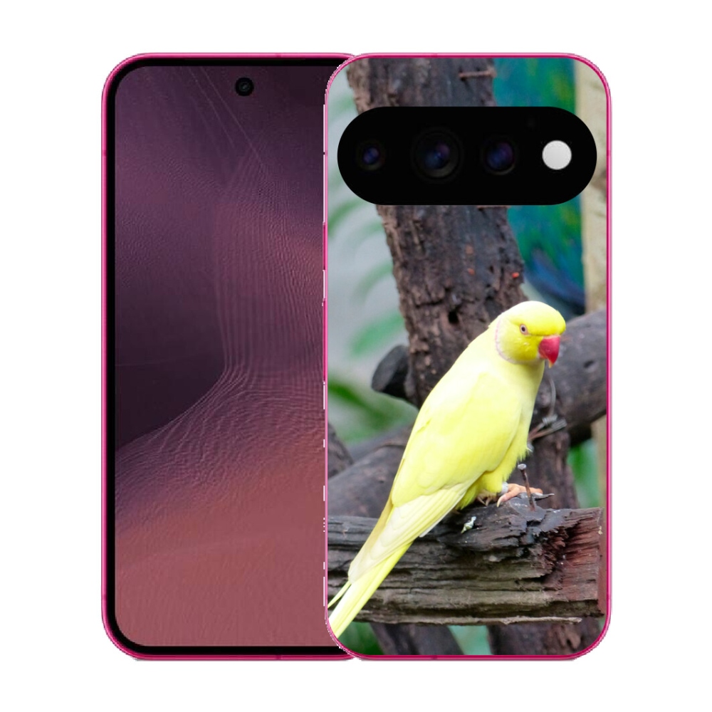 mmCase gél tok a Google Pixel 11-hez – sárga alexandri papagáj