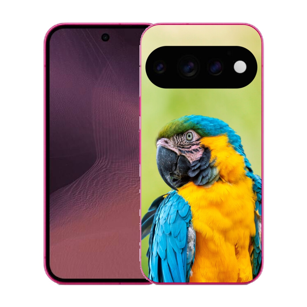 mmCase gél tok a Google Pixel 11-hez – ara papagáj 2