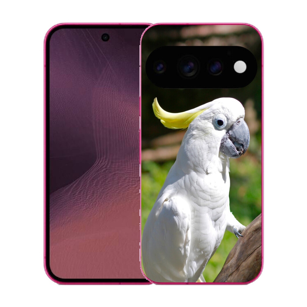mmCase gél tok a Google Pixel 11-hez – kakadu papagáj 2