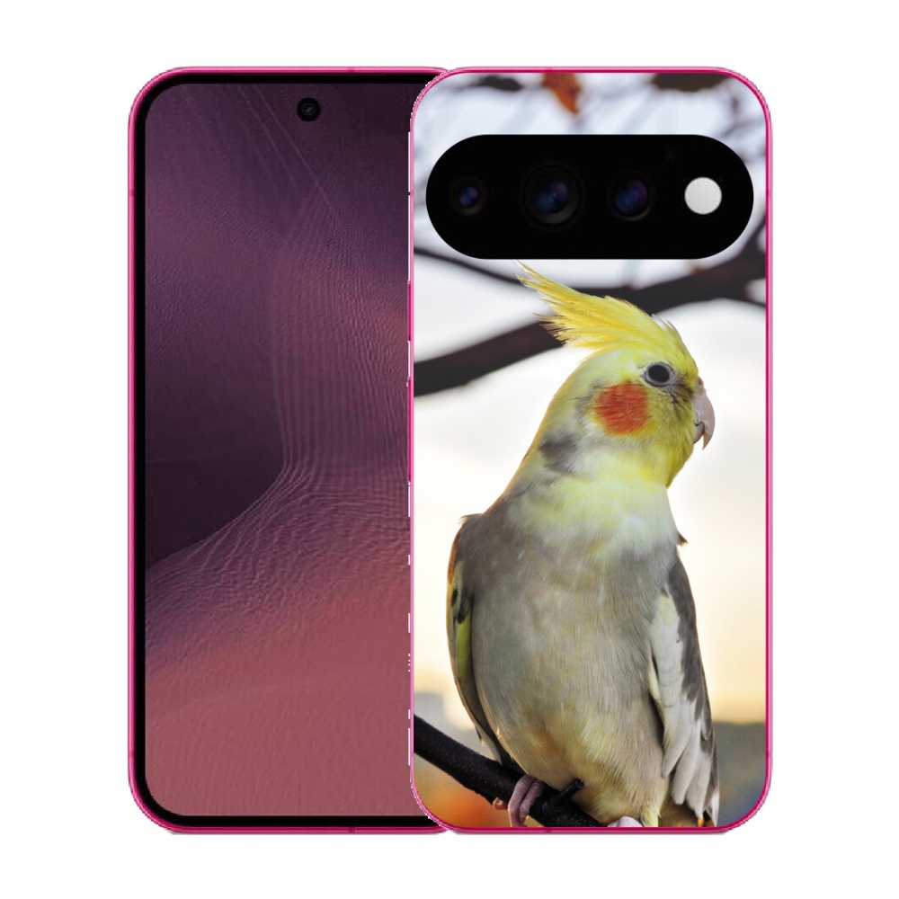 mmCase gél tok a Google Pixel 11-hez – korella papagáj