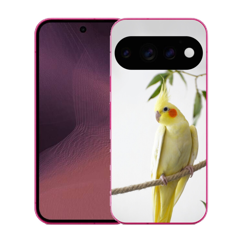 mmCase gél tok a Google Pixel 11-hez – tollas papagáj