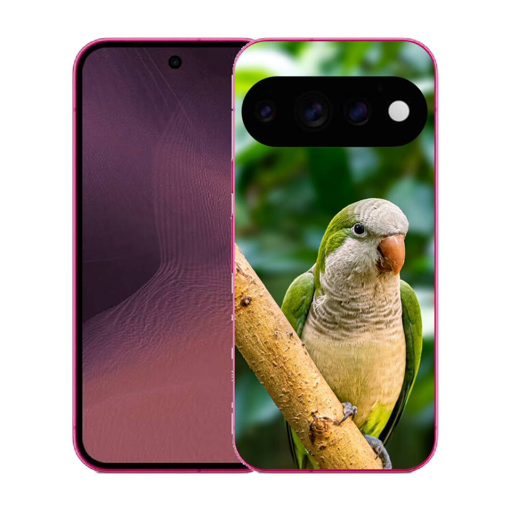 mmCase gél tok a Google Pixel 11-hez – papagáj
