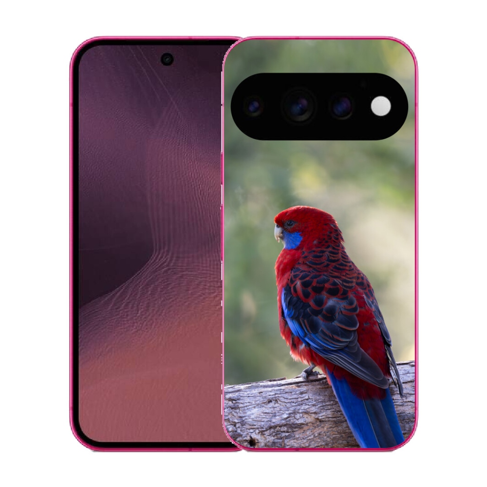 mmCase gél tok a Google Pixel 11-hez – Rosella papagáj
